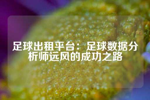 足球出租平台：足球数据分析师远风的成功之路-第1张图片-皇冠信用盘出租