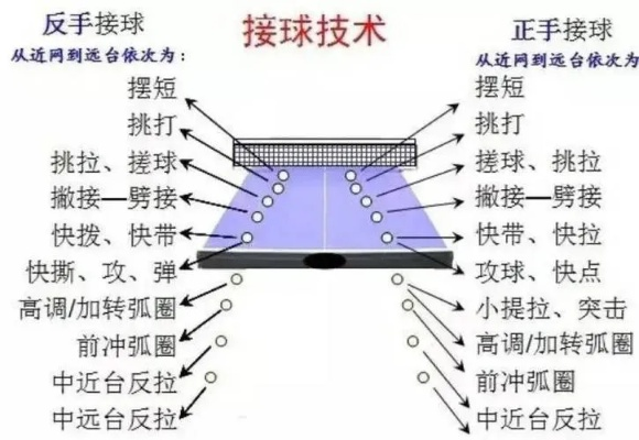 乒乓球比赛新手入门指南