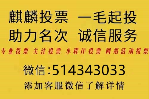 投票人工团队8元1000票网站哪家好？-第3张图片-www.211178.com_果博福布斯